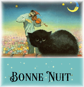bonne nuit chat